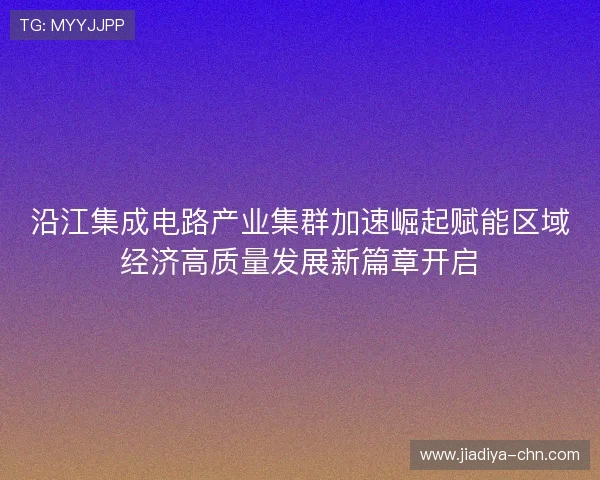 沿江集成电路产业集群加速崛起赋能区域经济高质量发展新篇章开启